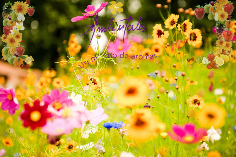 ambientalis-imagen-blog-flores Aromatizadores para ambientes digitales Fabrica de fragancias Gran variedad Mayorista